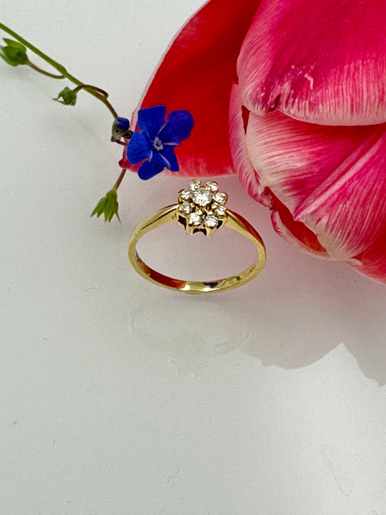 Brilliant Ring * Blume * 750 * Gr.53